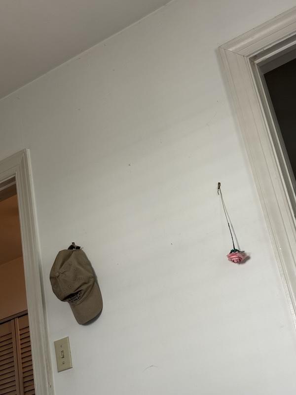 hat and rose on the wall, my wall