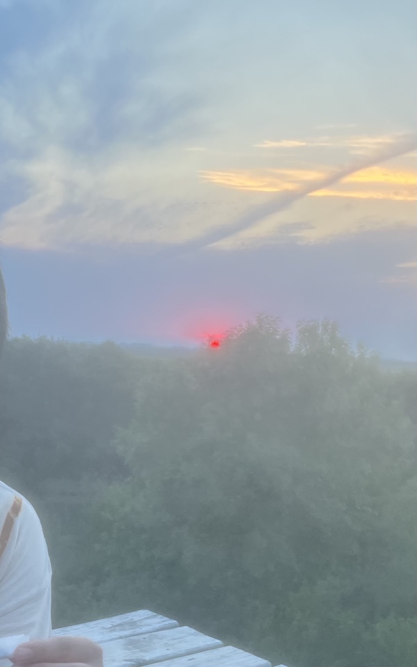 august 10, sunset on roof w j and m and a billion dragonflies