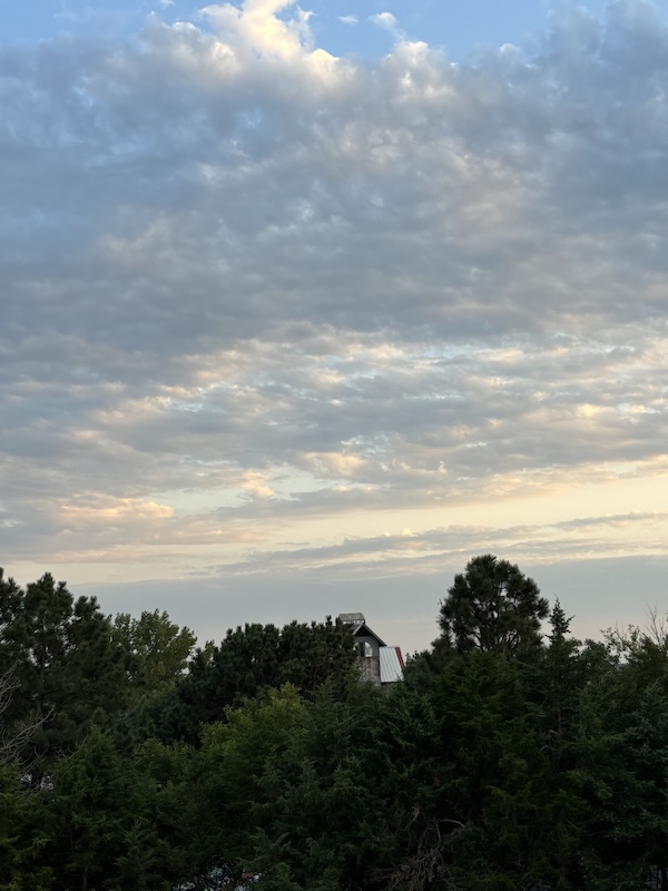 august 12, on the roof