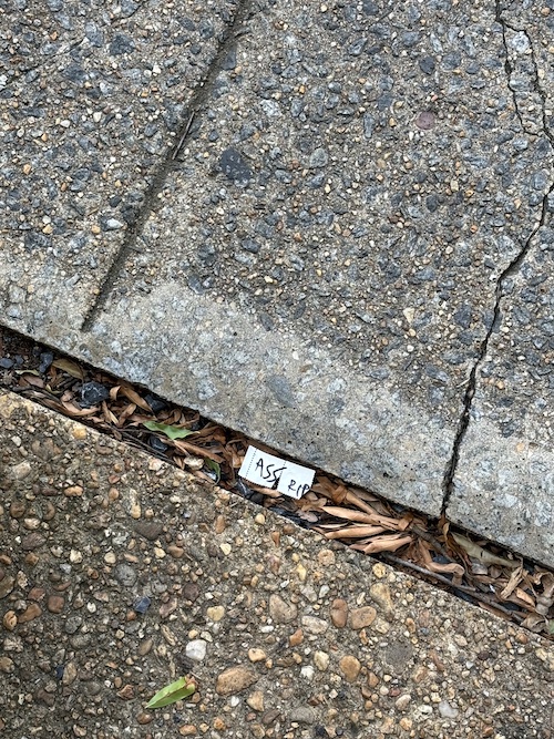 note on the ground that says ass rip