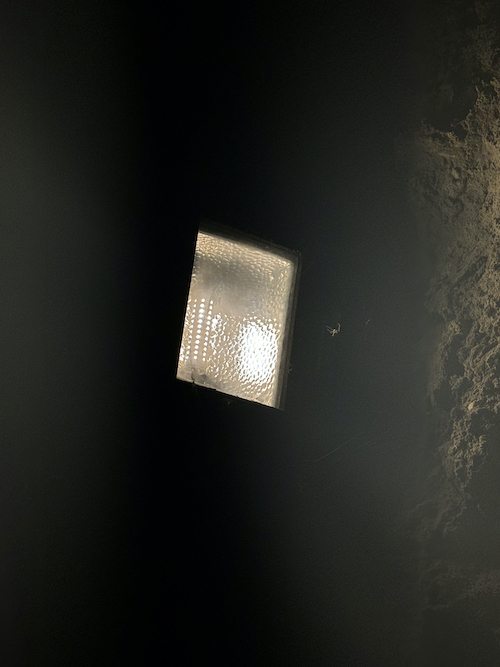 lightbulb in a tunnel lighting up a spider web