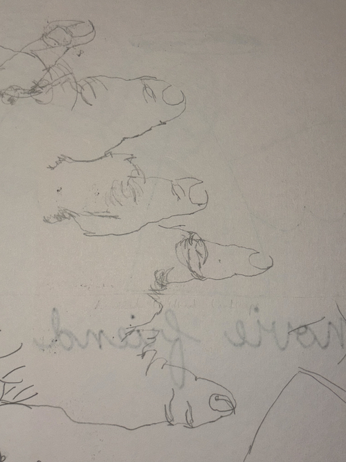 contour drawing cy did of their hand