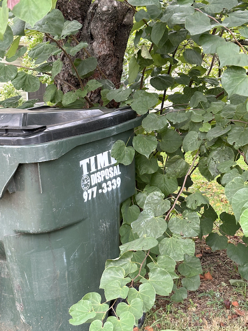 green trash can that says time disposal